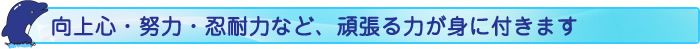 向上心・努力・忍耐力など、頑張る力が身に付きます
