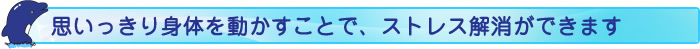 思いっきり身体を動かすことで、ストレス解消ができます